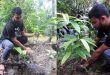 ছাত্রলীগ নেতা শাওন পোদ্দার এর বৃক্ষরোপন কার্যক্রম